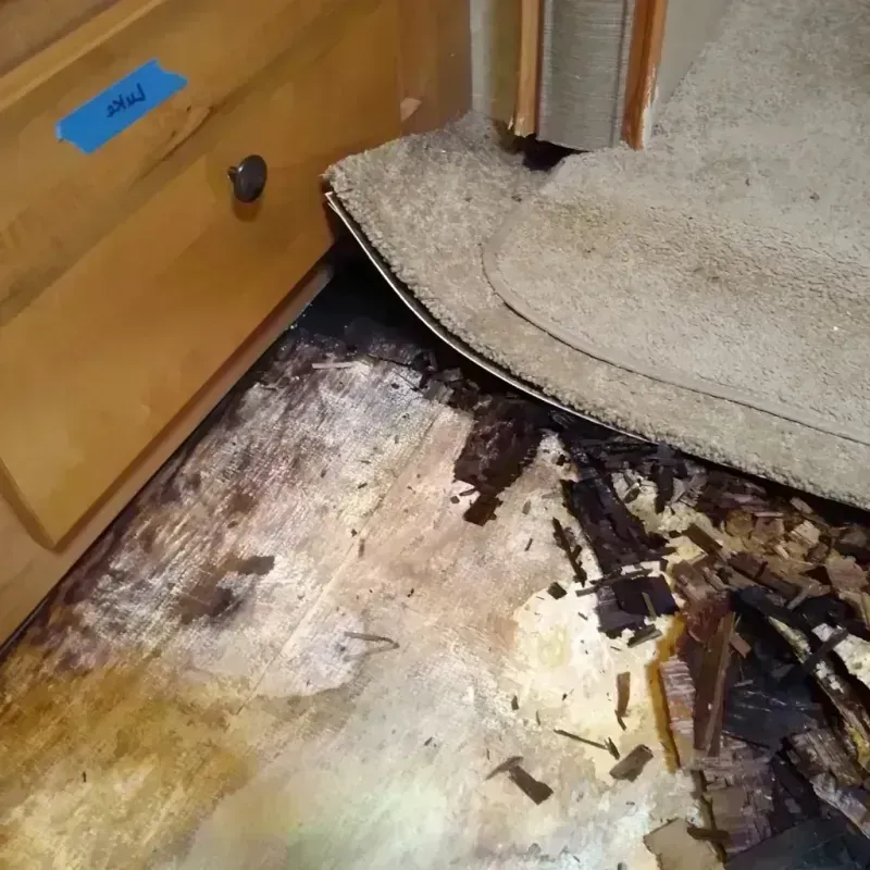 Wood Floor Water Damage in Placid Lakes, FL